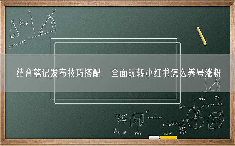 结合笔记发布技巧搭配，全面玩转小红书怎么养号涨粉