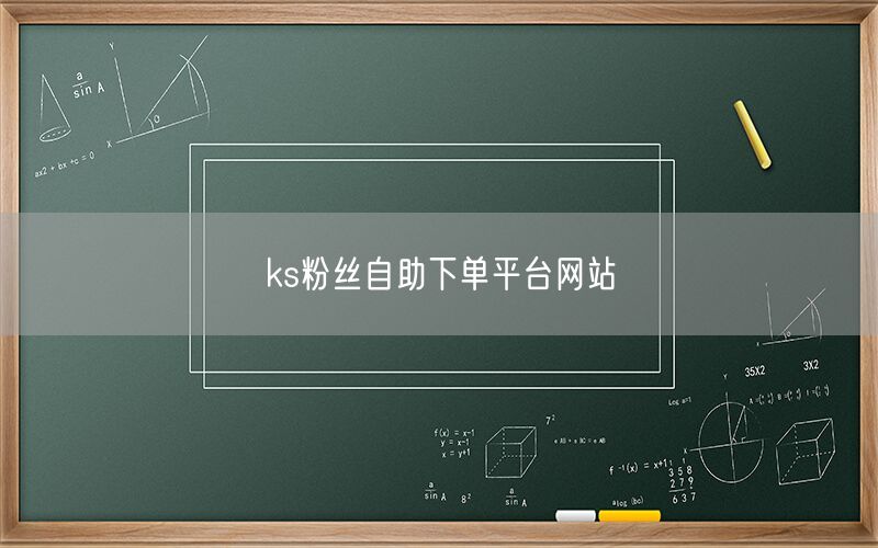 ks粉丝自助下单平台网站